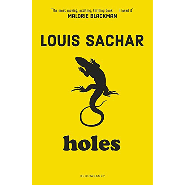 Holes book cover